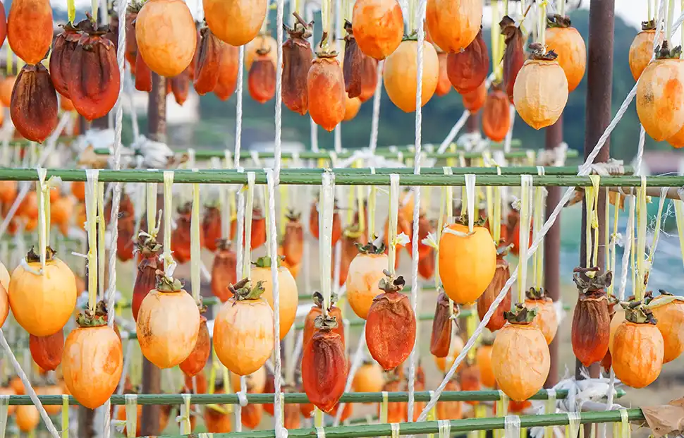 Dried Persimmon